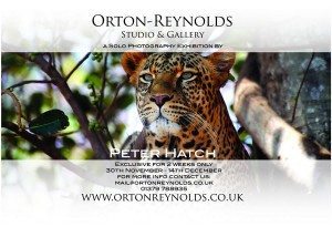 Peter Hatch Exhibition