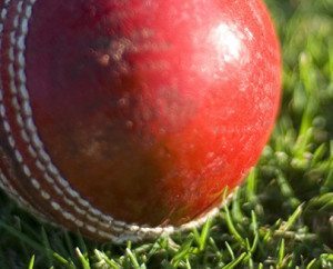 cricket ball