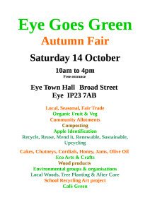 Eye-Goes-Green-fair-poster for website