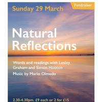 290320 Natural Reflections