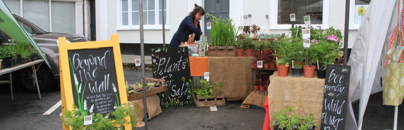 Beyond the Wall, Plant sales, wild plants for your garden. A beautiful  and colourful display of wild flowers for sale.
