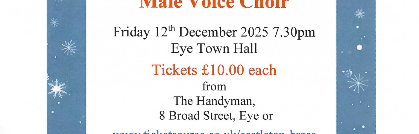 ChristmastimeSparklePoster